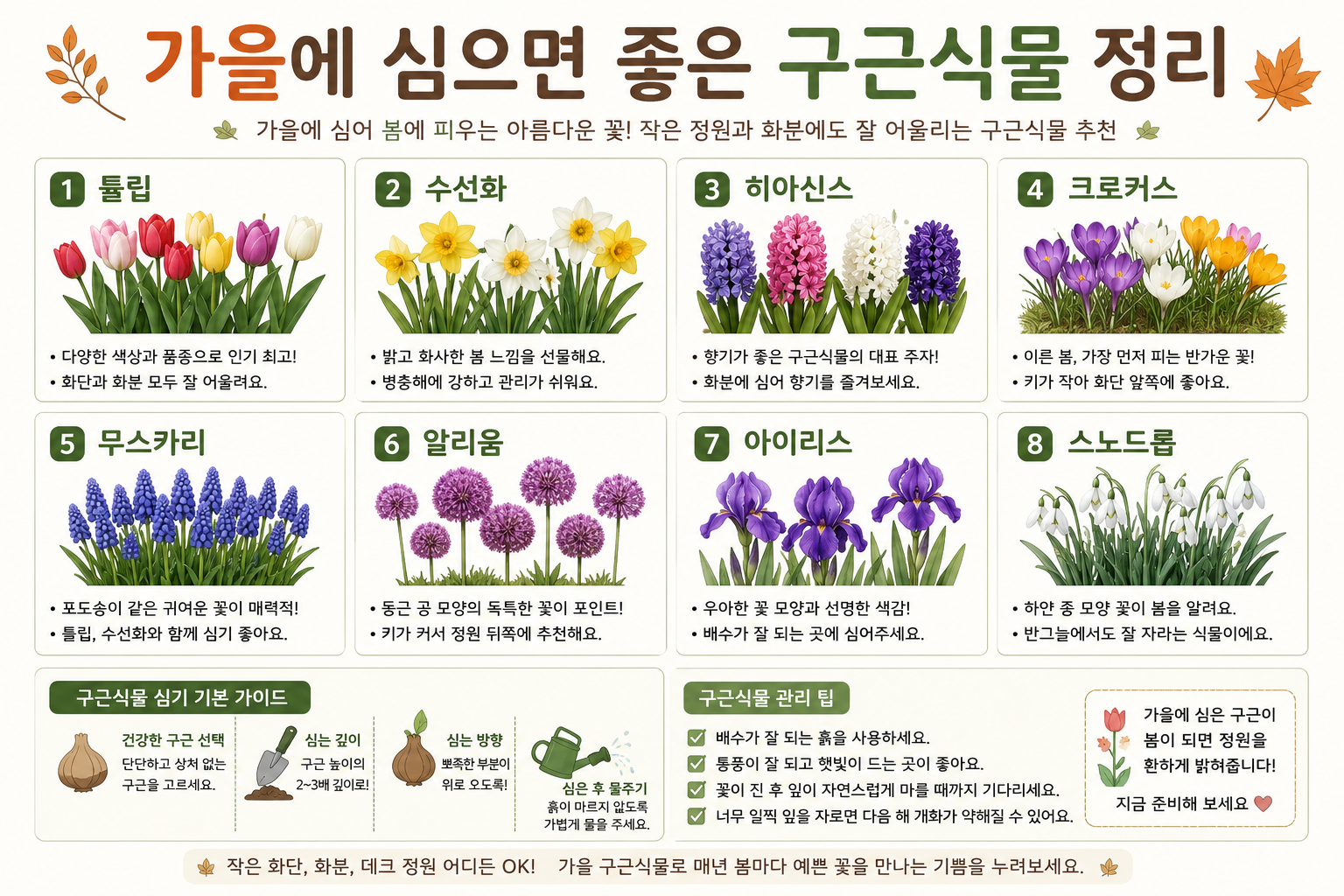 가을 구근식물 추천 8가지와 봄꽃을 위한 정원 식물 심기 가이드