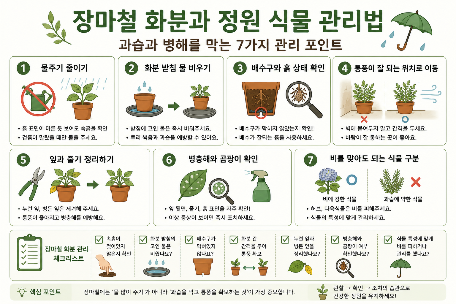 장마철 화분 관리법 7가지와 정원 식물 과습 막는 방법