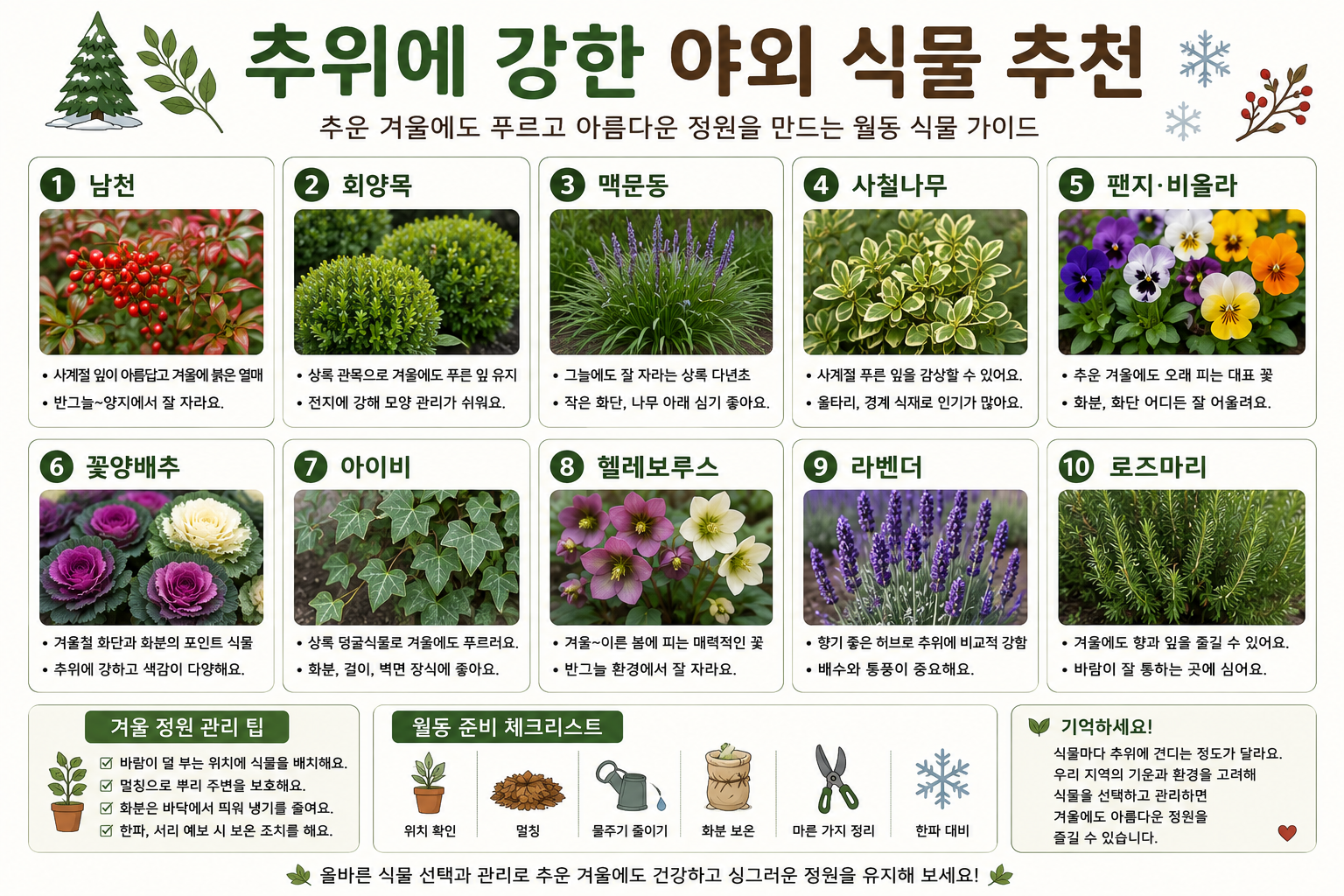 추위에 강한 야외 식물 추천 대표 이미지와 초보 정원 관리 기준