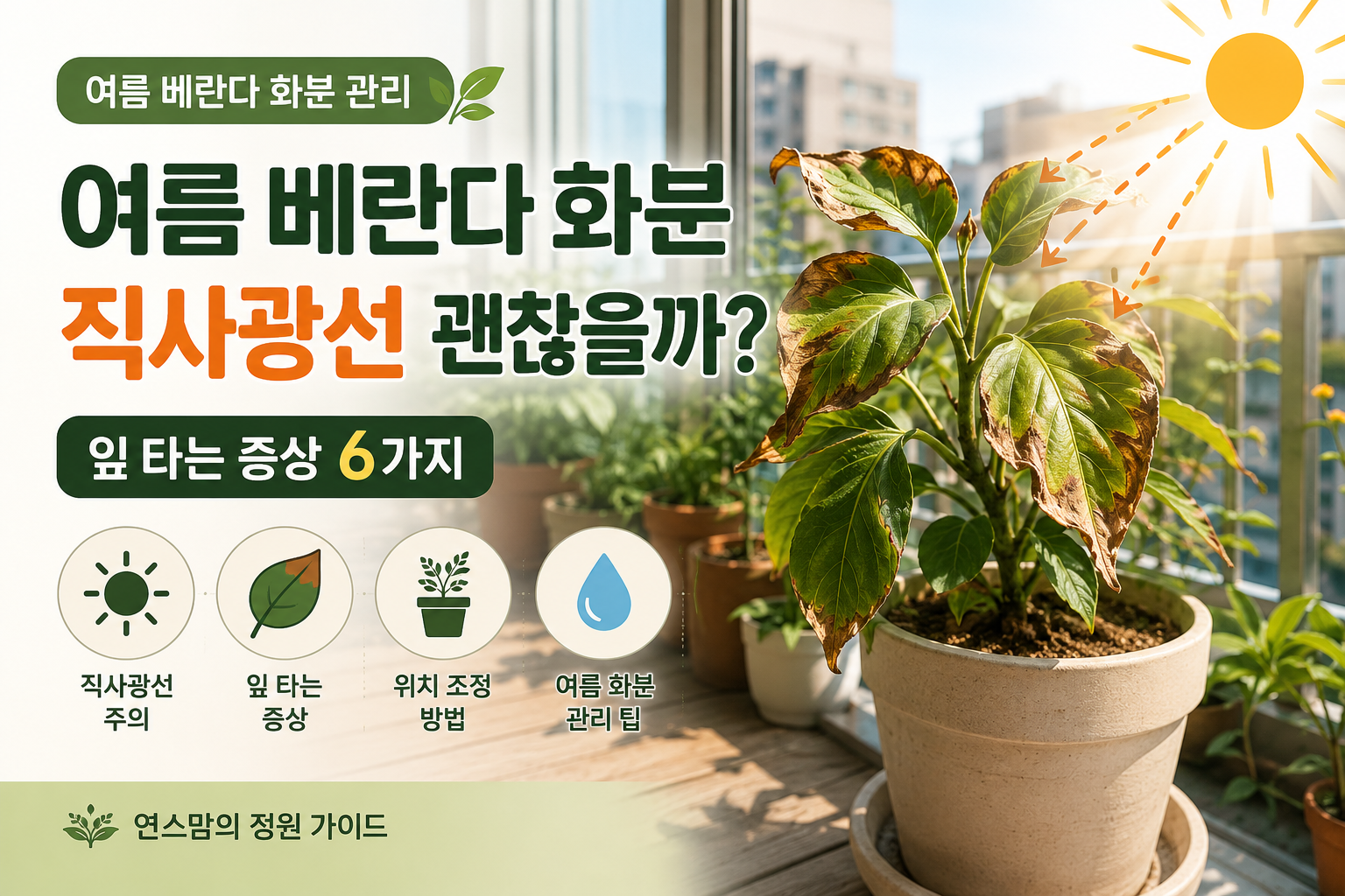 여름 베란다 창가에서 직사광선을 받는 화분과 잎이 타는 증상을 확인하는 모습
