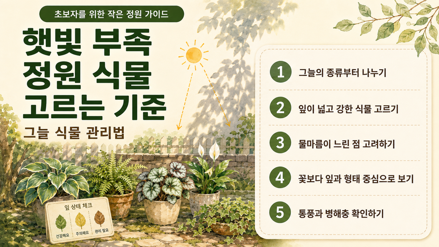 반그늘 작은 정원에서 햇빛 방향과 그늘 식물 배치를 설명하는 일러스트