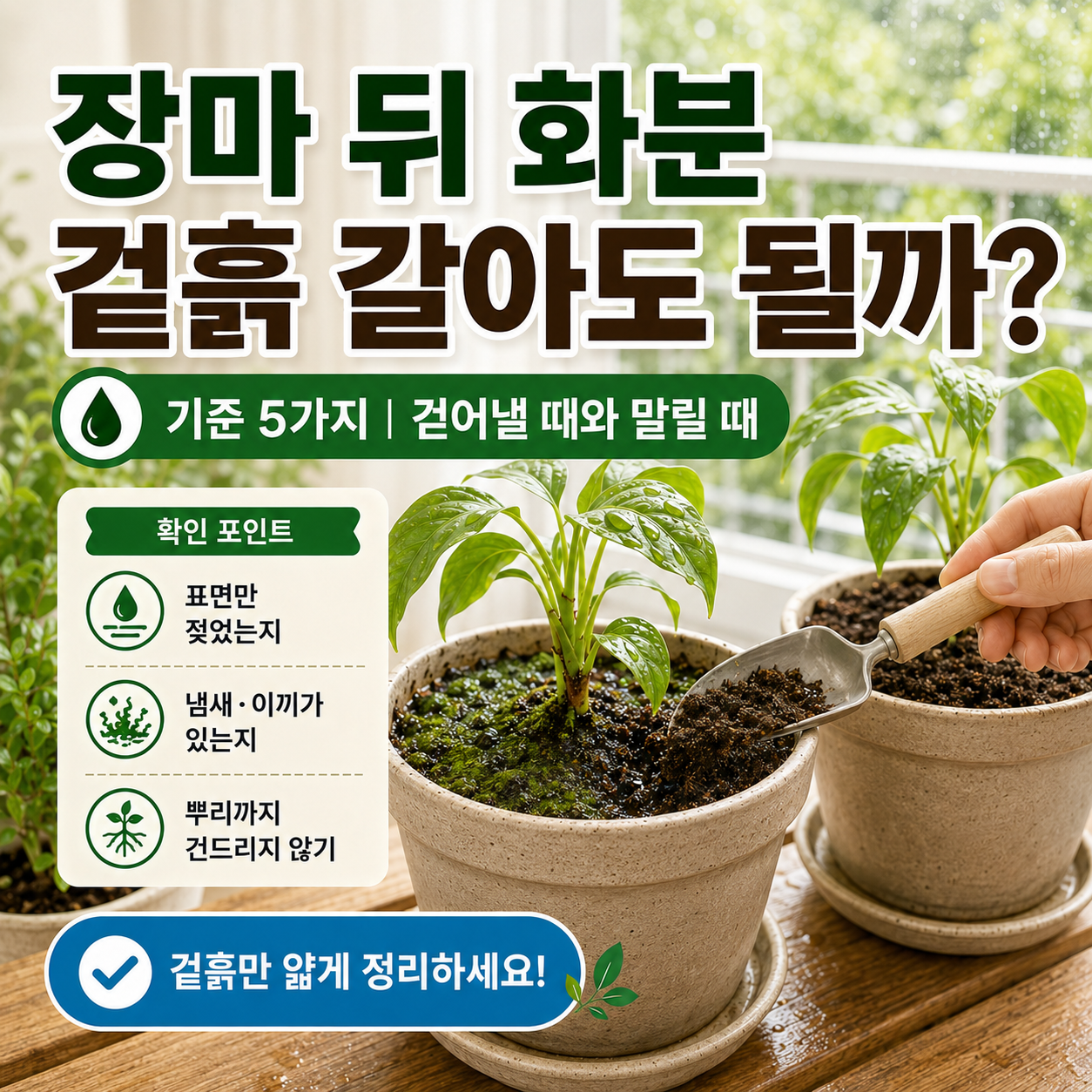 장마 뒤 화분 겉흙을 얇게 걷어내고 새 흙을 보충하는 관리 장면