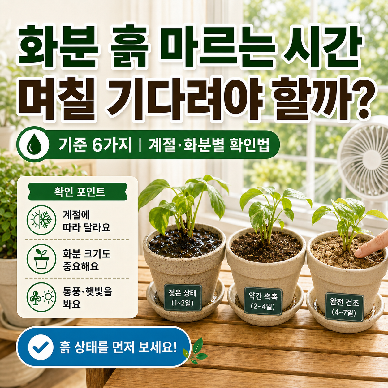 베란다 화분 흙 마르는 시간을 확인하는 초보자용 체크 장면