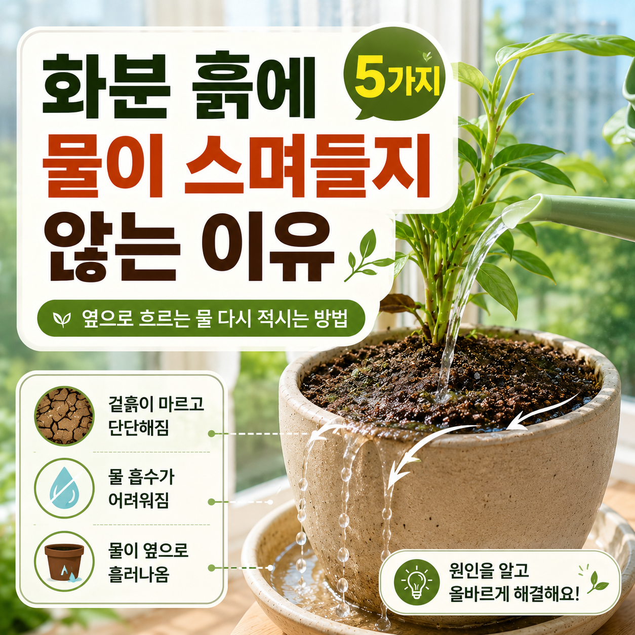 물을 줘도 흙 표면에서 튕기고 화분 벽으로 흐르는 상태를 확인하는 베란다 화분