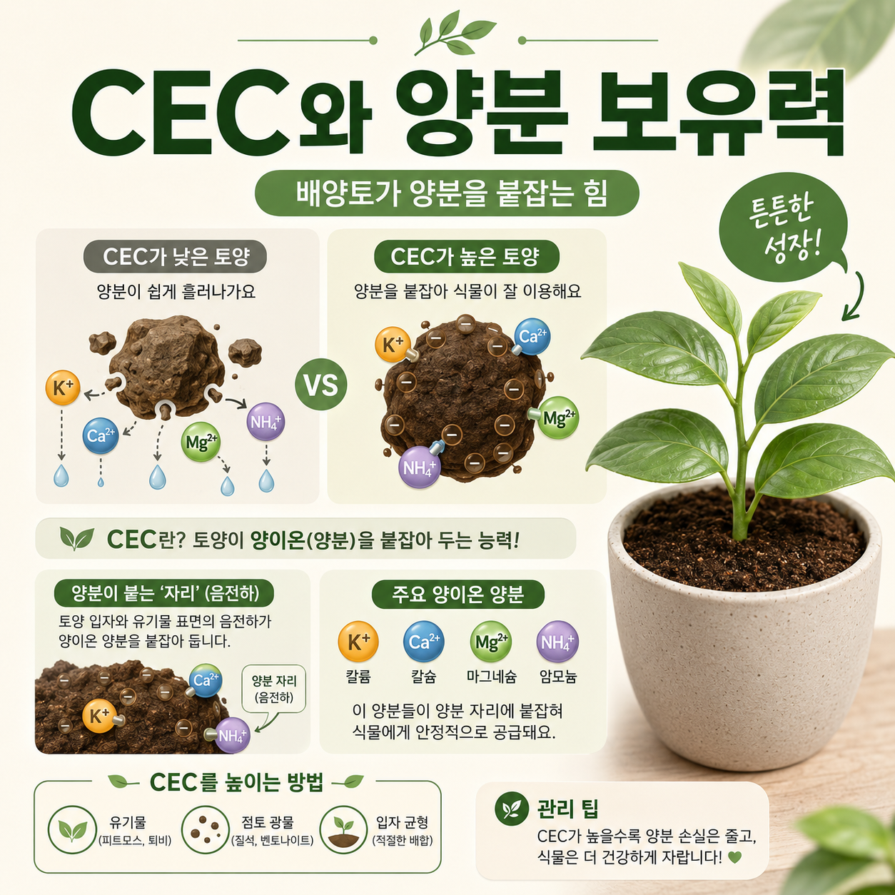 CEC가 낮은 배양토와 높은 배양토에서 칼륨·칼슘·마그네슘·암모늄 보유 차이를 비교한 이미지